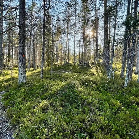 Lapiosalmi Wilderness Center Posio