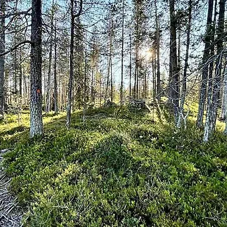 Lapiosalmi Wilderness Center Posio