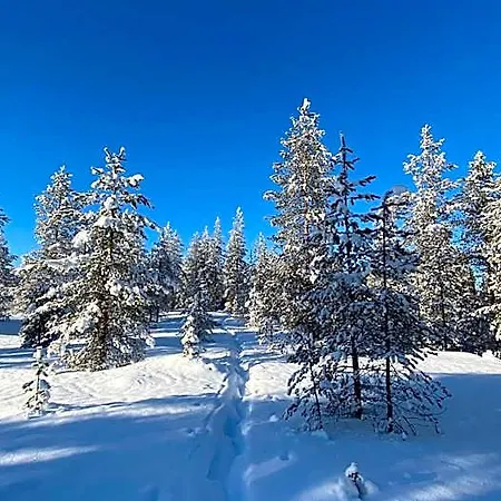 Lapiosalmi Wilderness Center Üdülőpark