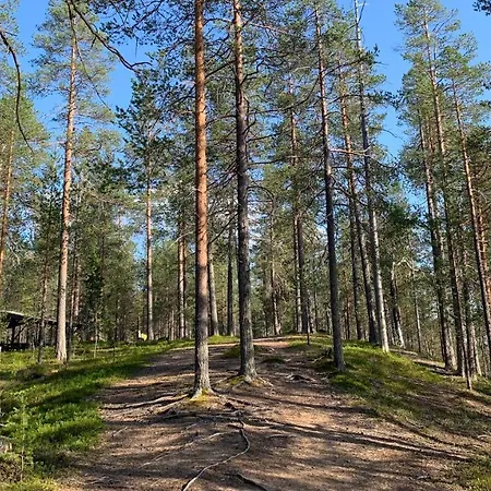 Lomakylät Lapiosalmi Wilderness Center
