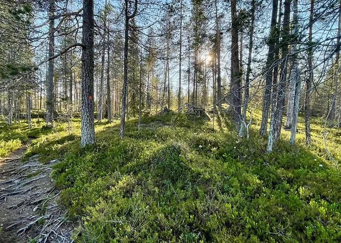 Lapiosalmi Wilderness Center Posio