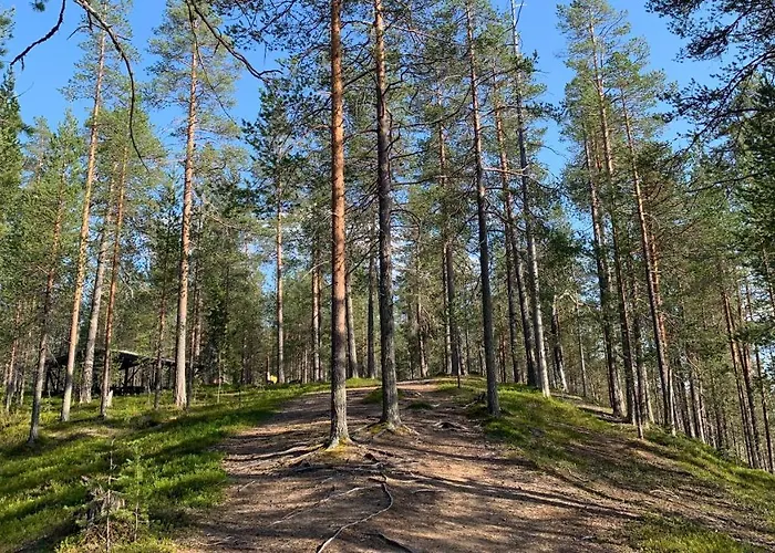 Ferienpark Lapiosalmi Wilderness Center