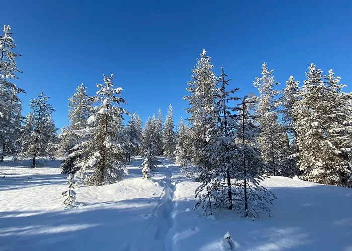 Lapiosalmi Wilderness Center *